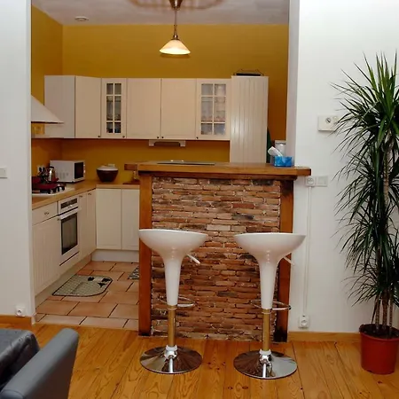 Apartment Maison Renaissance Monument Historique Xv Eme 1497 Villefranche-de-Rouergue